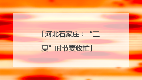 河北石家庄：“三夏”时节麦收忙